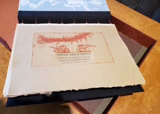 Fossil Dirigibles